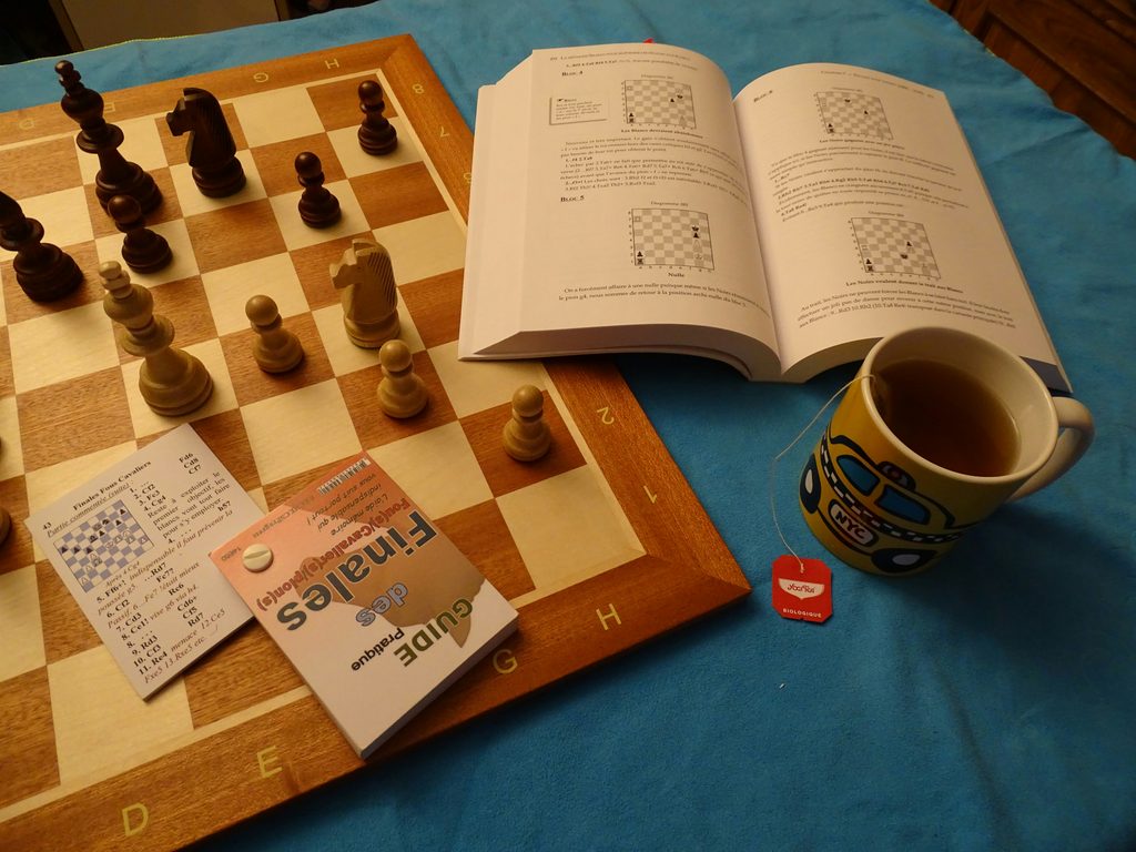 chess rules reference book and chessboard